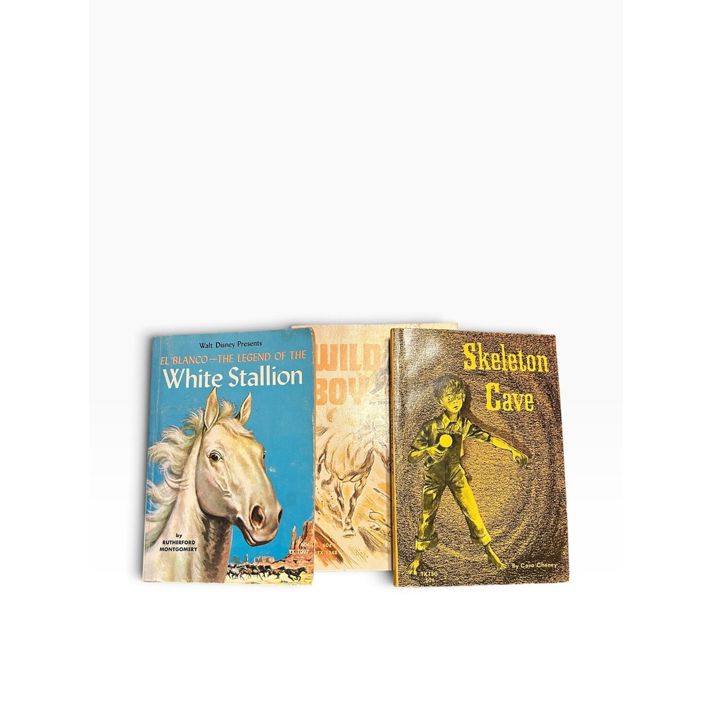 Vintage Scholastic Paperback Book Lot 3 Horse Adventure Stories
